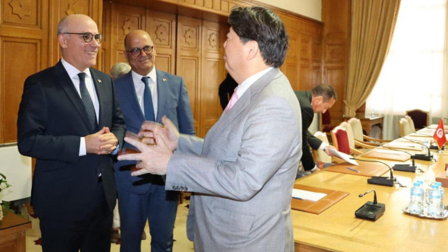 Nabil Ammar s'entretient avec son homologue nippon, au Caire