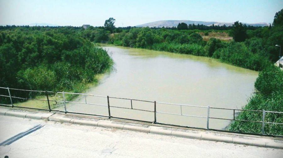 Oued Medjerda
