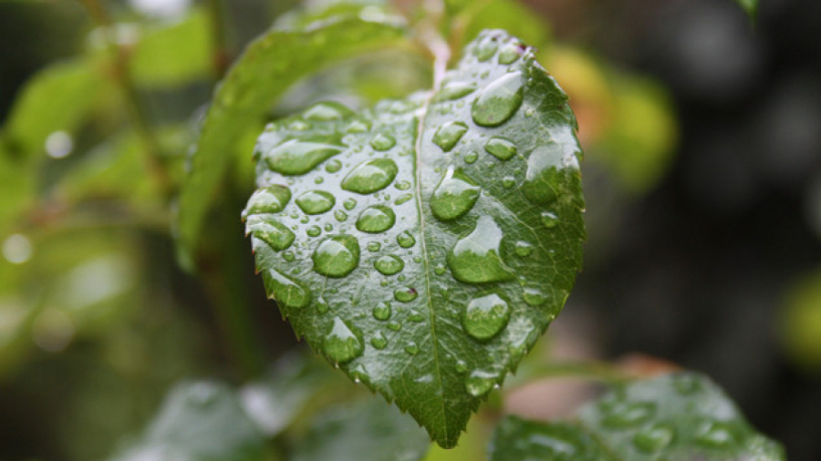 Pluies attendues sur le nord-est et le centre-ouest