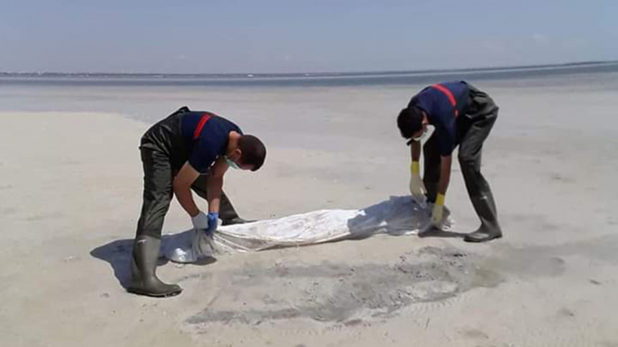 Quatre cadavres repêchés sur les côtes de Sfax 