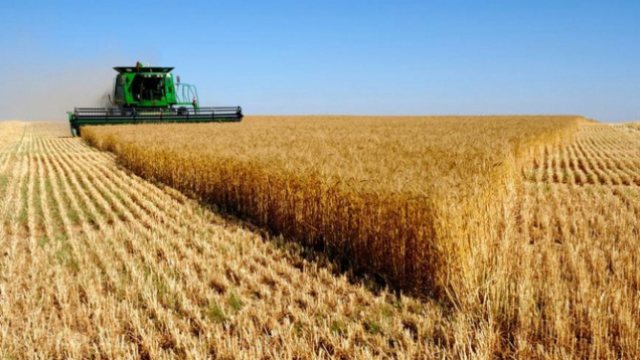 Récolte céréalière : L'UTAP s'attend à une saison catastrophique 