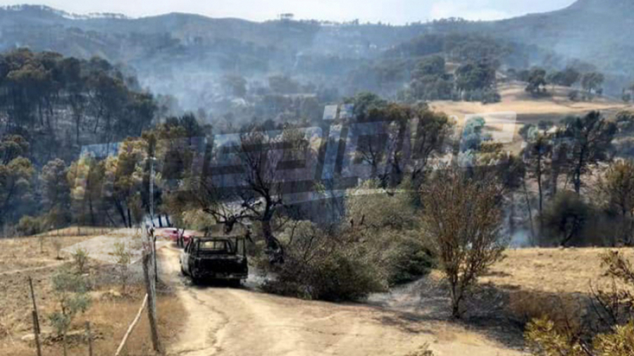 Siliana : L'incendie à Jbal Sariou maîtrisé Seliana : L'incendie à Jbal Sariou maîtrisé