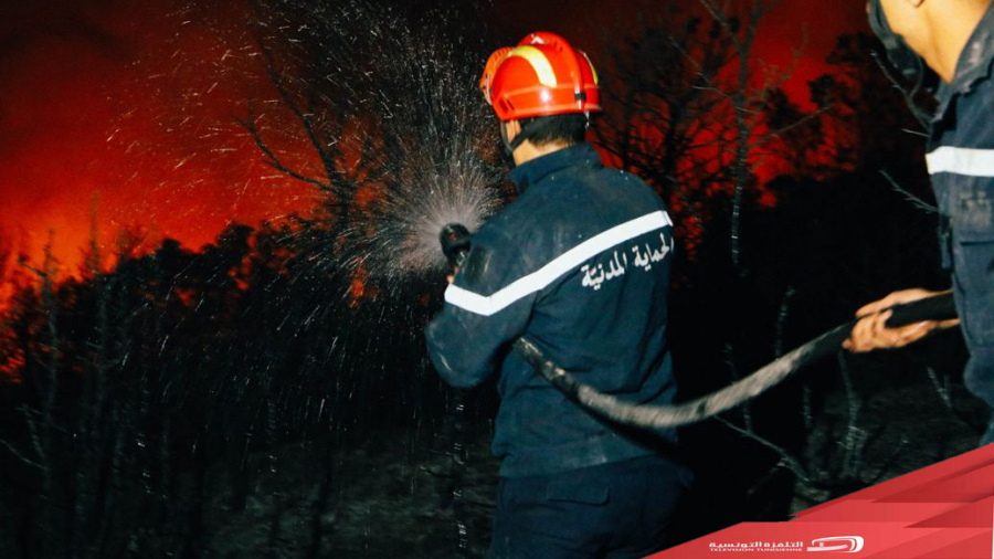 Siliana : Un incendie se déclare dans la localité Abbassi 