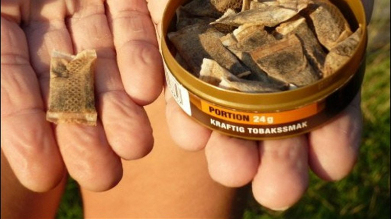Le tabac à sucer, autorisé aux Etats-Unis snus