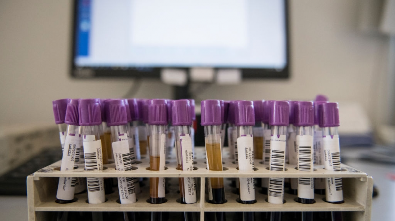 Tataouine - coronavirus : 90% des personnes atteintes sont guéries Tataouine - coronavirus : 90% des personnes atteintes sont guéries