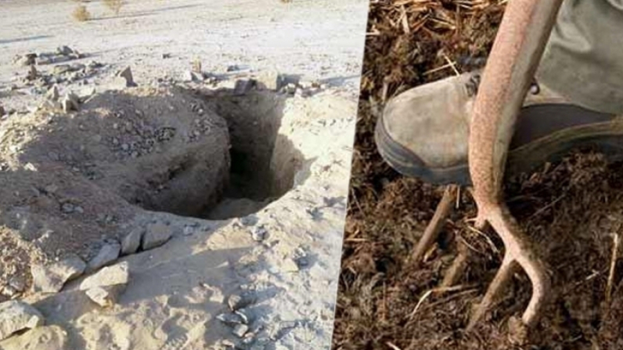 Un homme arrêté pour vol d'objets archeologiques à Carthage