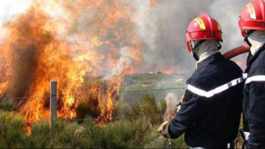 Un incendie maîtrisé à Siliana Un incendie maîtrisé à Siliana
