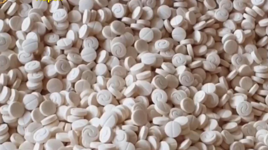 Une tentative de contrebande de 300 mille pilules de stupéfiants Une tentative de contrebande de 300 mille pilules de stupéfiants