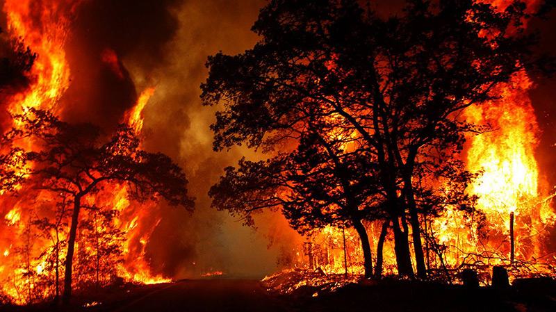 Une vague d'incendies dévaste plusieurs régions boisées du pays Une vague d'incendies dévaste plusieurs régions boisées du pays