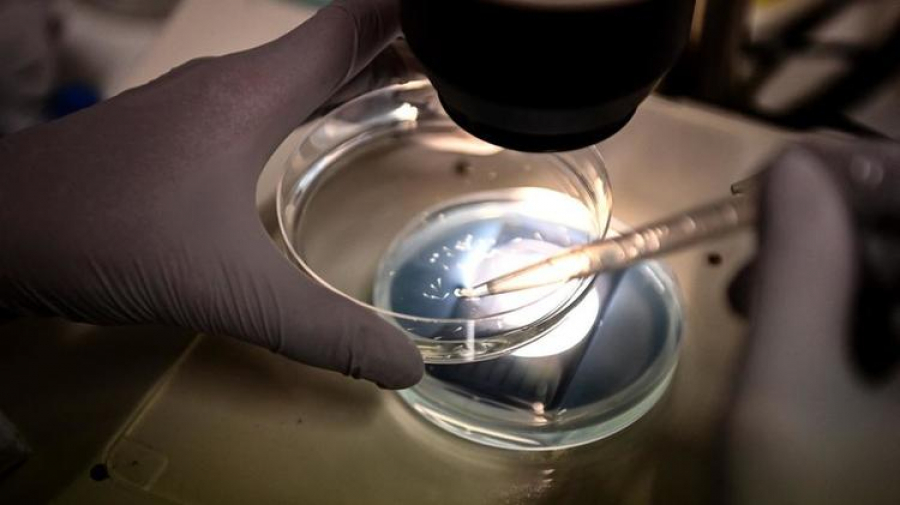 USA : Un agent d’entretien détruit 25 ans de recherche scientifique