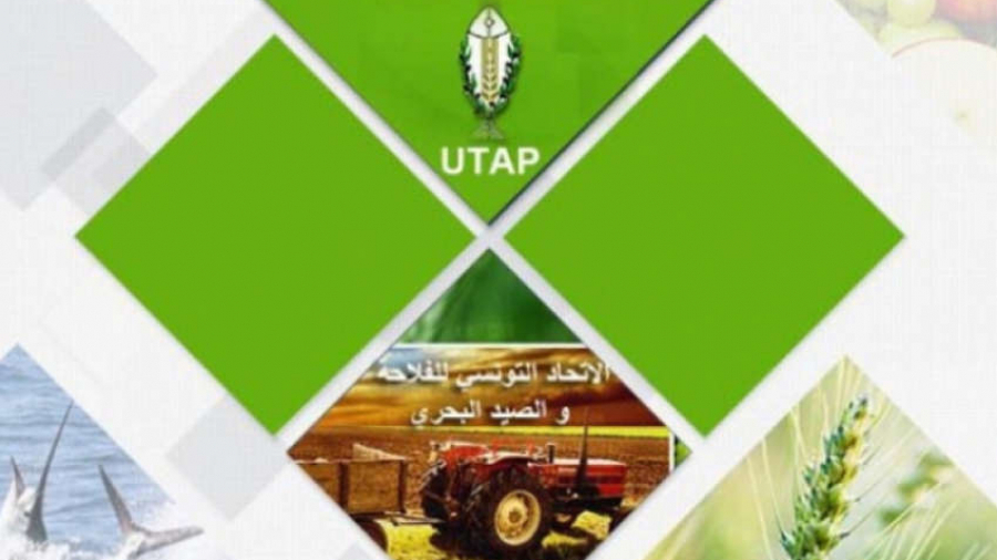 utap