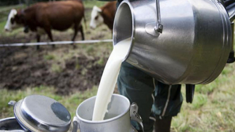 UTAP appelle à une augmentation du prix du lait à la production