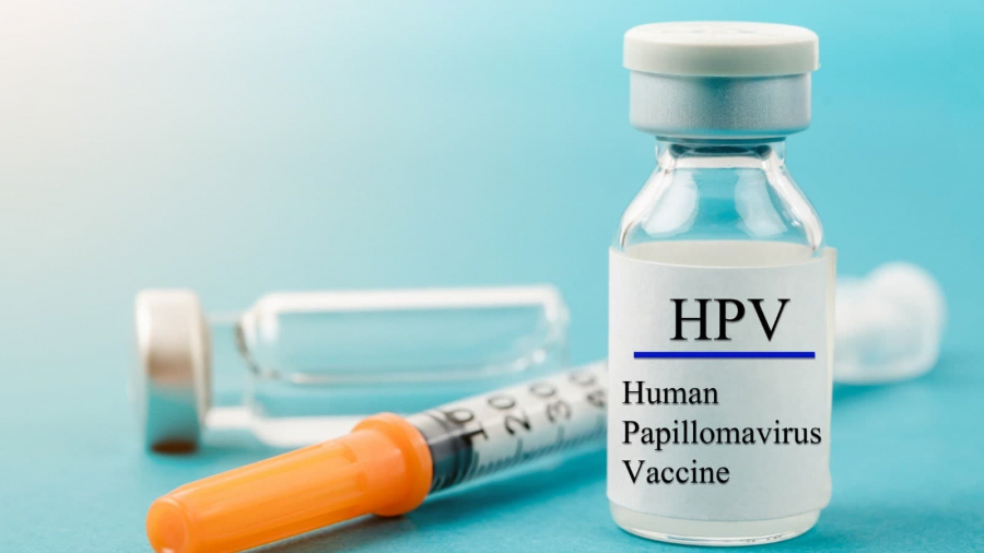 Vers l'introduction du vaccin contre le papillomavirus humain