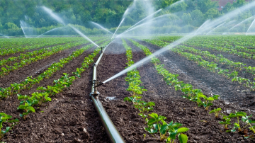 قرضان بـ 102 م د لتثمين المناطق السقوية بالقيروان والقصرين وسيدي بوزيد