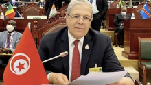 الجرندي يدعو إلى خطة تحرّك لتسوية الأزمات الإنسانية في إفريقيا