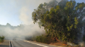 Incendie à Sidi Bou Saïd