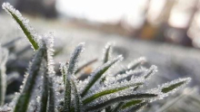 Temps froid, pluies éparses et apparition de la gelée