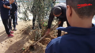 Danao plante un Arbre