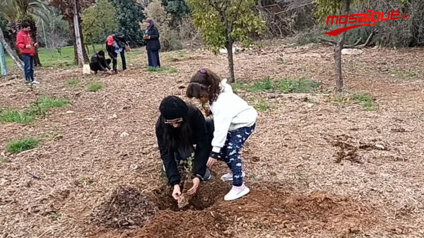 كوسموس ميديا مشروع إعلامي بيئي بروح الطبيعة‎‎